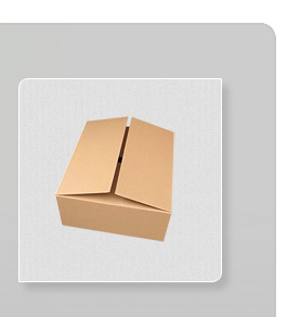 Sample Brown Box